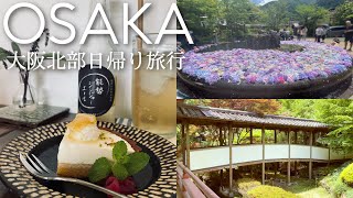 A Day Trip to Osaka in Japan / Hydrangea Temple, Cafe / Road Trip