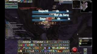 Gladiateur ( Champion ) 156 test dps/farm Rappelz