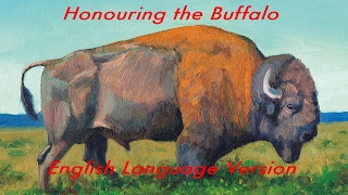 Honouring the Buffalo_English Language version