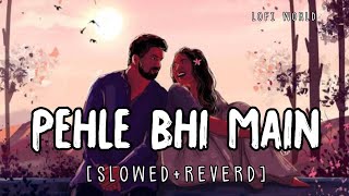 Pehle bhi main(Slowed + Reverb) | Vishal Mishra | Animal | Lofi World