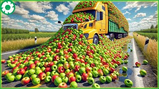 Transporting 9.9M of Tons of Apples This Way - Farmers Grow Tons of Apples | Agriculture Technology