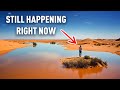 Is the Sahara Going Underwater? Shocking Truth That Affect Us All!