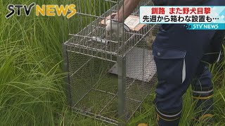 【また野犬を目撃】襲われたか…近くに子ジカの死骸も　釧路市の公園