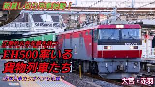 【貨物列車】【EH500 金太郎】新貸し切り列車始動！ 圧倒的な存在感を放つ EH500率いる貨物列車たち 2021年3月26日 大宮駅・赤羽駅