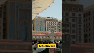 madina live,madinah live,makkah live,masjid al haram