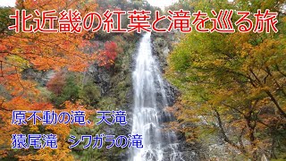 北近畿の紅葉と滝を撮る！