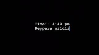 തിരുവനന്തപുരം പേപ്പാറ വനത്തിൽ ഒരു വ്ലോഗ്. 🍃Peppara wildlife vlog 🍂♥️