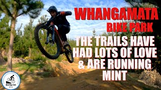 Whangamata bike park. The trails have had lots of love & are running mint.