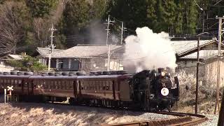 【鉄道むすめ】SL桜沢みなのバースデーエクスプレス　白久駅〜三峰口駅【HAPPY \