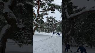 【兼六園】除雪風景【雪吊り】