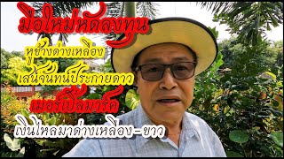 ลงทุน กับไม้ประดับ,หูช้างด่างเหลือง,เสน่ห์จันทน์ประกายดาว,เงินไหลมาด่างเหลือง,ด่างขาว,เบอร์เบิลมาร์ค