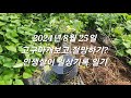 텃밭 일상/ 사는 것이 왜이리 힘들까/ 인생살이 일상