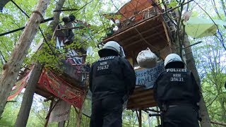 MILLIONEN VERBALLERT: Polizei überlässt Hambacher Forst Aktivisten