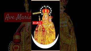 அருள் நிறைந்த மரியே வாழ்க #hailmary #hailmarytamil #hailmarysung @DivineGraceDaily-25