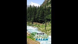 Swat River | Swat River Kalam Valley | Flood in Kalam | Flood in Swat | Flood in Pakistan 2022