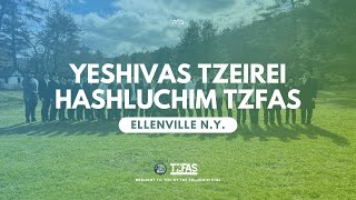 Yeshivas Tzeirei Hashluchim Tzfas | Ellenville N.Y.