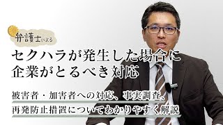 弁護士が解説する【セクハラが発生した場合に企業がとるべき対応】について