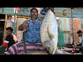 KASIMEDU 🔥 MINNAL RAJA GIANT TRAVELLY FISH CUTTING VIDEO | 4K VIDEO | KM FISH CUTTING