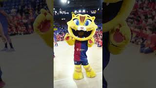 😺 CAT, la nueva incorporación a la familia de las mascotas de #LigaEndesa