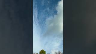 മരങ്ങൾക്ക്  പുറകിൽ എന്താണ്? #anujarosevlogs  #clouds #nature #morning #dayinmylifevlog #dayinmylife