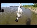 Freshwater Drum, Gasper Goo, Taste Test