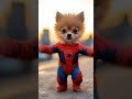 dog motorcycle dance 🐶😂 dog motorcycle dance dogdance petdance chihuahua spiderman