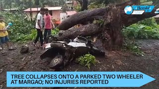 Tree collapses onto a parked two wheeler at Margao; no injuries reported