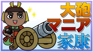 大砲マニアの家康は自慢の大砲で難攻不落の大阪城を陥落させた？