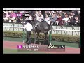 【パドック】 藤岡 健一厩舎のレターオンザサンド 伊藤 大士厩舎のレオンドーロは2着 2019年4月6日（土曜） 1回福島1日 10r ひめさゆり賞 福島 芝 2000m