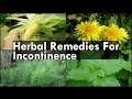 Remedies For Incontinence Remedies For Incontinence