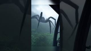Biggest Spiders in the World! 🕷️😱 #facts #animals