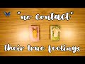 *NO CONTACT* THEIR TRUE  FEELINGS FOR YOU ⚡😍😢😓🥰💥 Timeless Tarot Reading 🔮💫