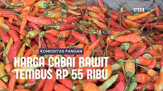 AWAL TAHUN CABAI RAWIT TEMBUS RP 55 RIBU