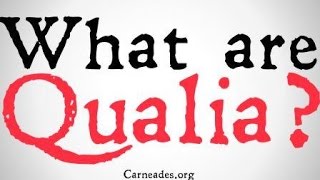 എന്താണ് ക്വാലിയ? (തത്വശാസ്ത്രപരമായ നിർവചനങ്ങൾ)