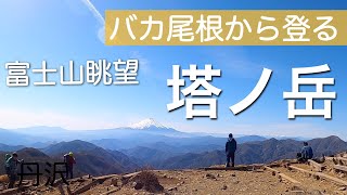 【塔ノ岳】 バカ尾根(大倉尾根)ルート/ 富士山眺望の絶景登山 【丹沢】