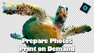 Photoshop Elements Tutorials for Beginners Edit Photos for Print on Demand