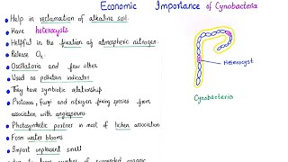 Economic importance of cyanobacteria | class 11