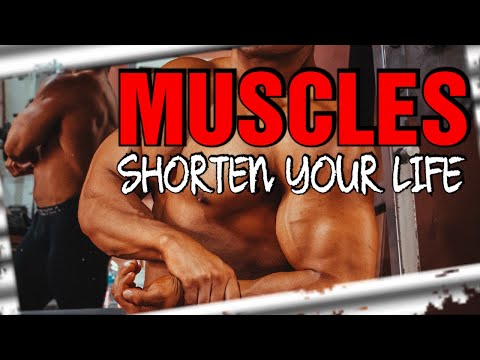What muscle can shorten?