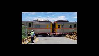 其實也沒那麼像！台東太麻里櫻木花道平交道︱台湾 の Slam Dunk Railroad Crossing︱Taimali,Taitung, Taiwan