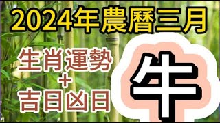 【古柏論命每月運勢+吉日凶日】2024年農曆三月(陽曆2024年4/9 ~ 5/7)生肖運勢分享 -  牛