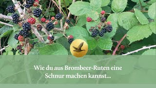 Wie du aus Brombeerfasern eine Schnur machen kannst