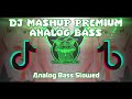 DJ MASHUP PREMIUM ANALOG SLOWED BASS 2K24 (DJWELLMARKREMIX)