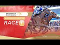 20220702 Hollywoodbets Durban July Race 1 won by FEATHER BOA