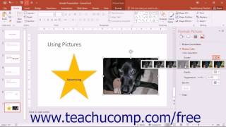 PowerPoint 2016 Tutorial Picture Settings Microsoft Training