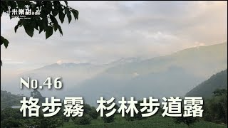 米樂甜 露營趣No.47｜格步霧 衫林步道露 白蘭部落