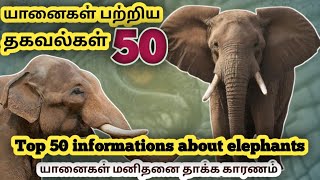 🐘யானைகள் பற்றிய 50 தகவல்கள் | 50 informations about elephants | @Cranetimes #elephants #animalfacts