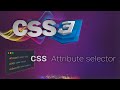 CSS for beginners 06: Attribute selector