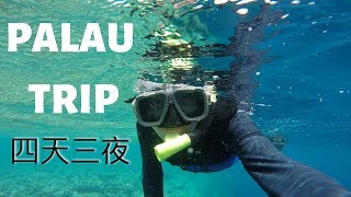 帛琉四天三夜 TRIP IN PALAU 🇵🇼 | 阿雷翰竇 Alejandro