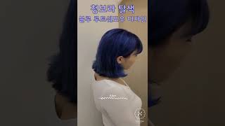 #운양동미용실 #레이스헤어 #루트쉐도우#청보라염색 #블루염색 #탈색 #베리페리