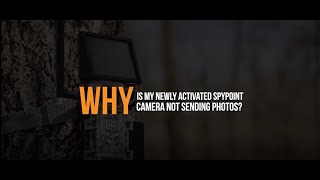 Why is my Newly Activated SPYPOINT Camera Not Sending Photos? | SPYPOINT